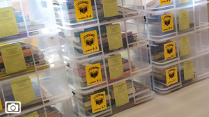 Fit im Kopf – dein tägliches Lese-Update