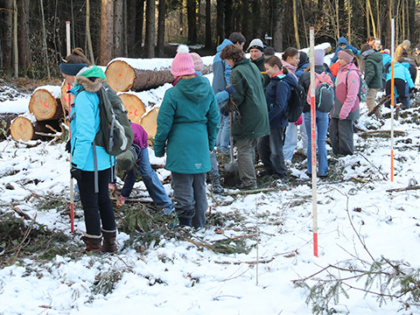 Nicht reden, sondern pflanzen: Wir tun was fürs Klima