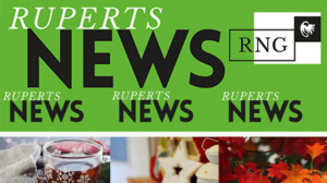 Die neuesten Infos – der RNG-Newsletter